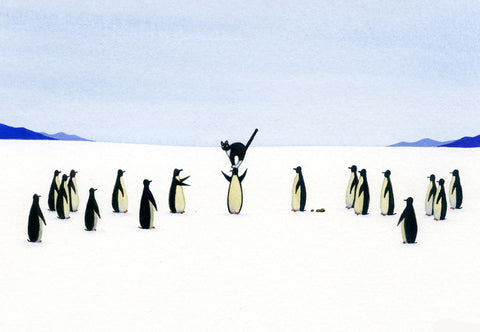 17 Penguins, 1 Cat