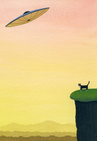 Kitty's Ride (wholesale)