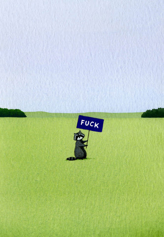 Raccoon Has a Moment