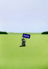 Raccoon Has a Moment