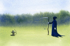 Raccoon vs. Reaper