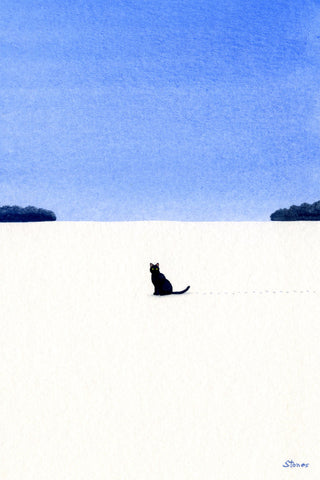 Black Cat (snow)