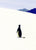 The Penguin is in Trouble