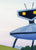The Robot is Intrigued