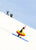 A Penguin Skis By