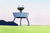 Raccoon Befriends Robot