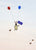 Two Balloons, One Bunny