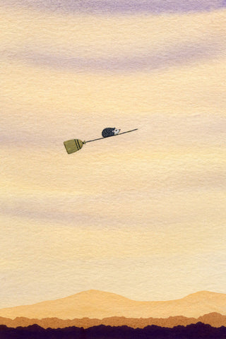 Gavin Flies Alone