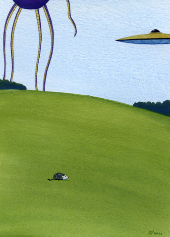 Hedgehog Releases Three Poops