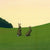 The Rabbits Spot Jimothy