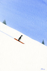 Orange Skis