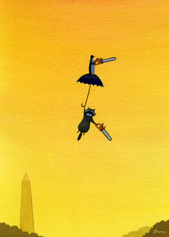 Penguin, Raccoon, Plans