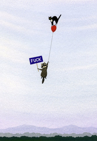 Raccoon, Cat, Balloon