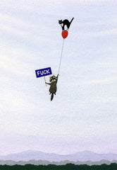 Raccoon, Cat, Balloon