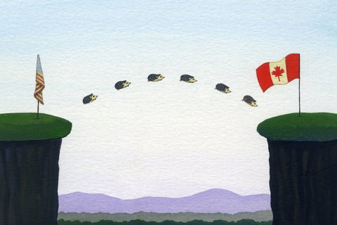Hedgehogs Prefer Canada