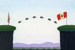 Hedgehogs Prefer Canada