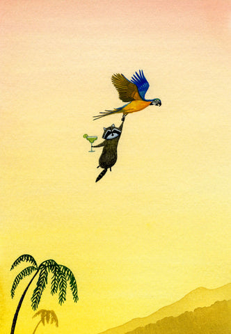 Raccoon, Macaw, Margarita