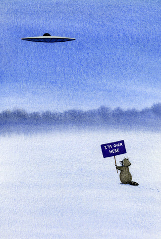 Raccoon Wants to Go