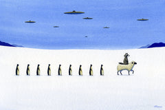 Raccoon Leading Penguins