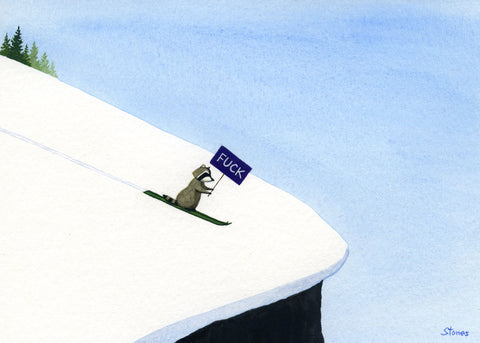 Raccoon Nears the Edge