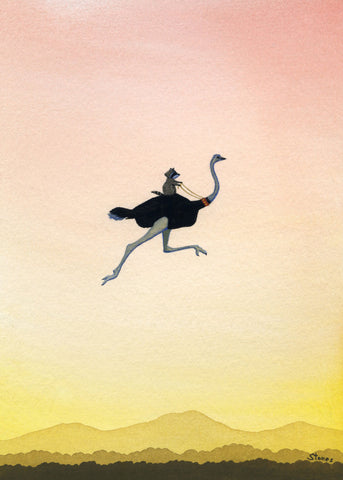 Raccoon Riding Ostrich