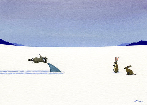 Raccoon, Shark, Rabbits