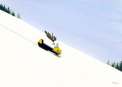 Raccoon Snowmobile Adventure