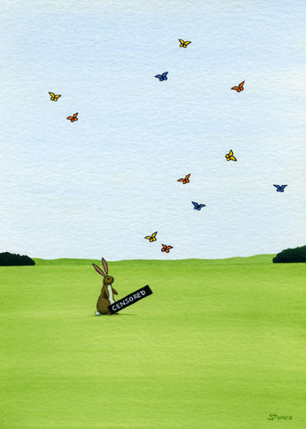 Steven Likes Butterflies